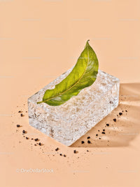Fresh green leaf resting on textured ice block
