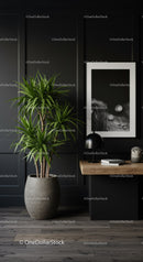 Modern Indoor Living Space with Green Houseplant and Minimalist Decor