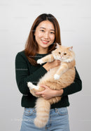Young woman holding fluffy orange cat with smile