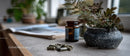 Herbal Supplements and Botanical Plant in a Modern Home Setting