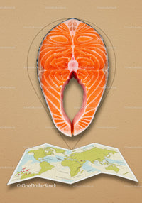 Fresh Salmon Steak Positioned Over World Map