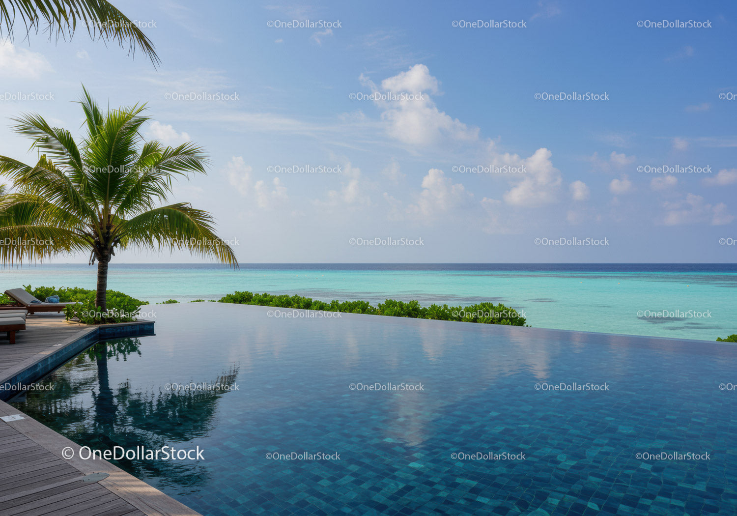 Luxury Infinity Pool Overlooking Ocean Behind Palm Tree and Blue Sky