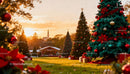 Christmas trees decorated with ornaments at sunset park