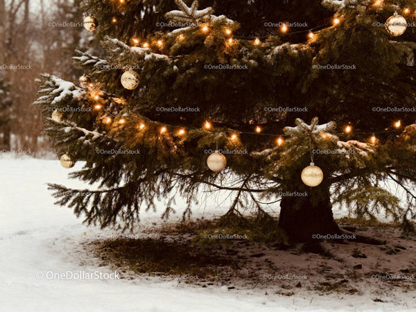 Snow-Dusted Christmas Tree with Warm Lights and Ornaments