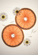 Fresh grapefruit slices with delicate daisies on light