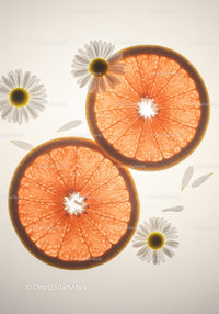 Fresh grapefruit slices with delicate daisies on light