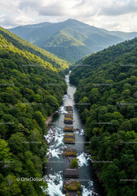Scenic Mountain Valley with Dense Forest and Flowing River