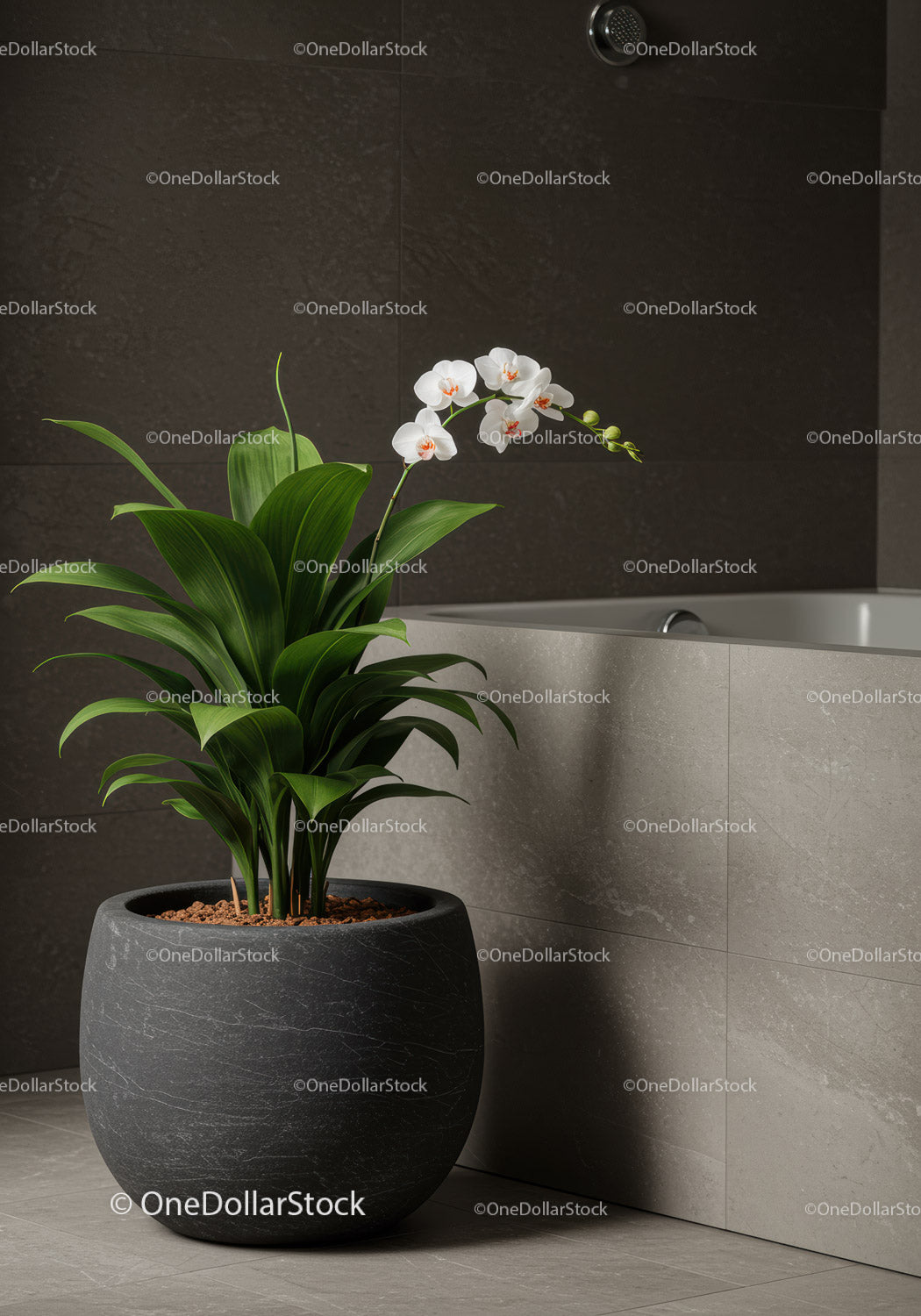 Eleganckie orchidee i liście do wnętrz w nowoczesnym wystroju łazienki