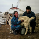Folklore Dark XMP presets color grading preview