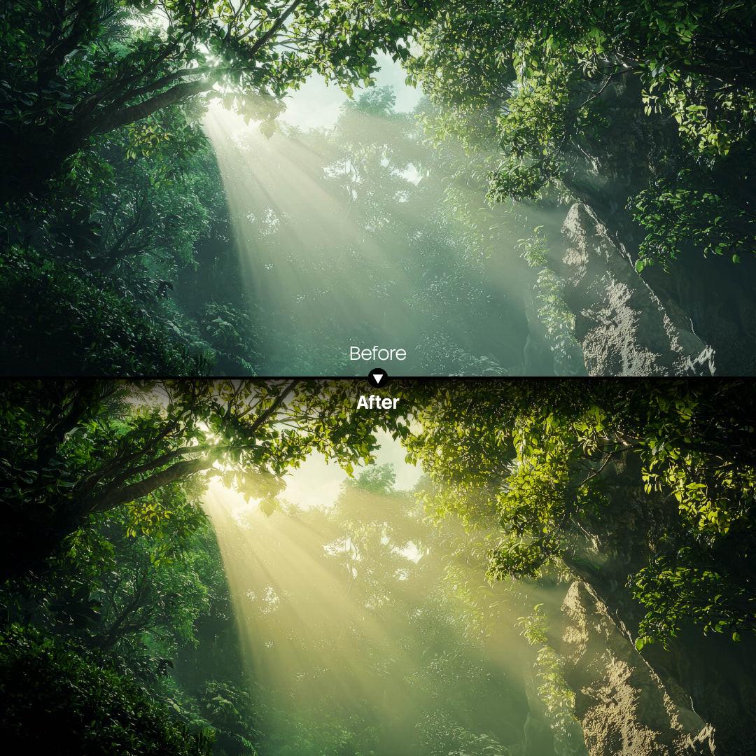 Forest Warm Glow XMP presets color grading preview