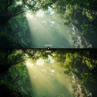 Forest Warm Glow XMP presets color grading preview