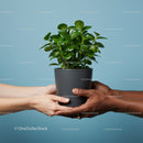 Two people exchanging a potted green plant indoors