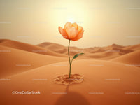 Delicate orange flower blooming alone in vast desert
