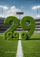 Green Grass Numbers Marking 29th Anniversary on Field