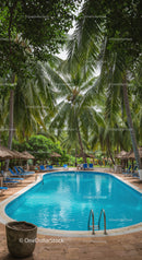 Tropical Resort with Pool and Lush Green Palm Trees