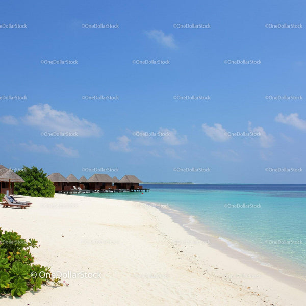 Tropical Beach with Overwater Bungalows and Clear Blue Ocean