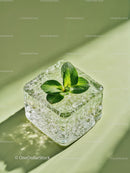 Fresh mint leaves encased in a melting ice cube