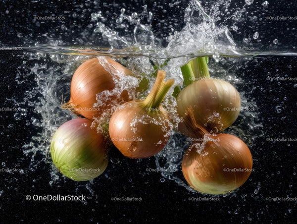 Fresh Onion Bulbs in Water with Splash Effect for Food Photography