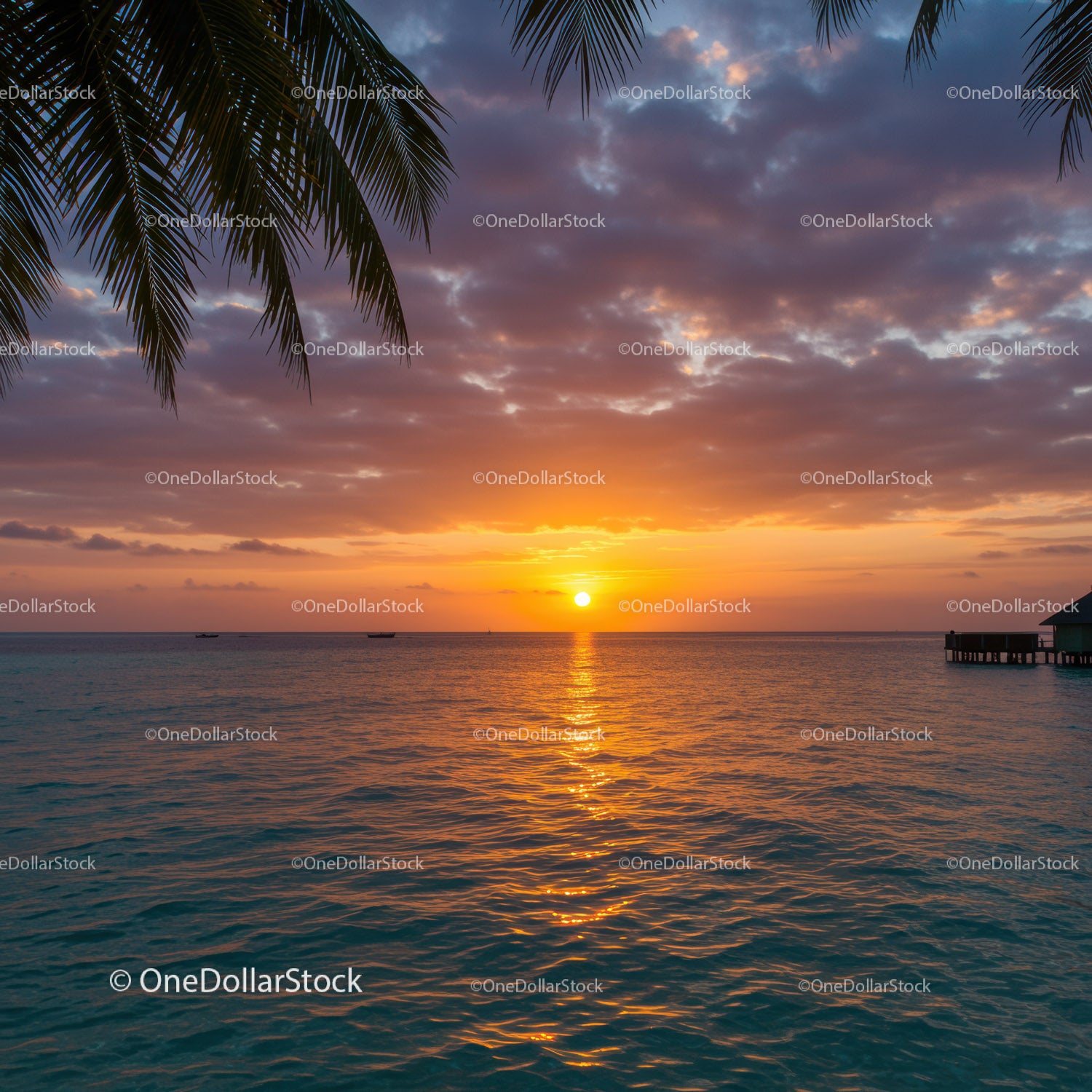 Beautiful Sunset Over Calm Ocean with Palm Trees and Scenic Sky