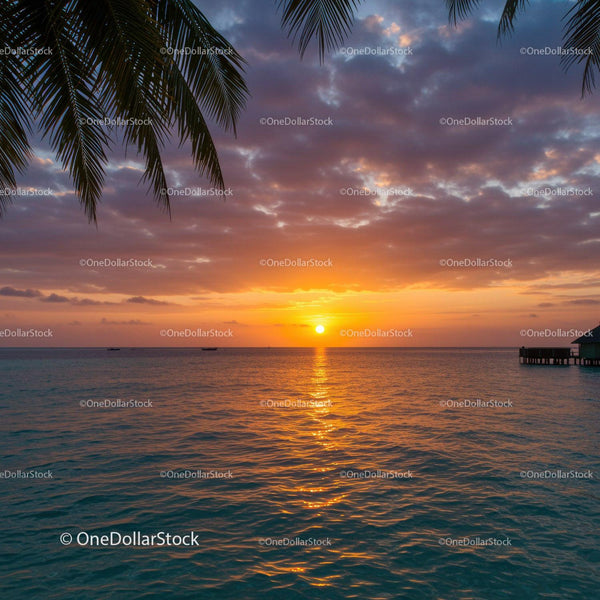 Beautiful Sunset Over Calm Ocean with Palm Trees and Scenic Sky