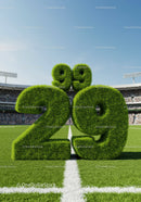 Grass covered 29 degree symbol on soccer field