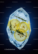 Fresh lemon slices and herbs frozen in ice cube