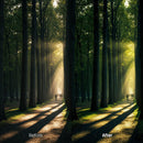 Before and after Dreamy Woodland Lightroom preset edit