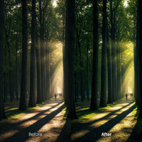 Before and after Dreamy Woodland Lightroom preset edit
