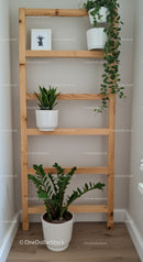 Indoor Greenery with Houseplants on Wooden Shelf in Modern Home