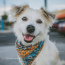Happy White and Beige Dog Wearing Bandana in Outdoor Setting