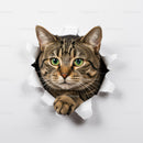 Curious tabby cat peeking through torn white paper