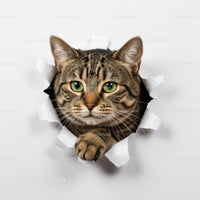 Curious tabby cat peeking through torn white paper