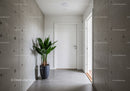 Modern Minimalist Indoor Hallway with Green Plant and Concrete Walls