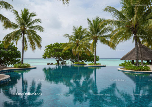 Tropical Pool and Palm Trees Overlooking Calm Ocean Landscape