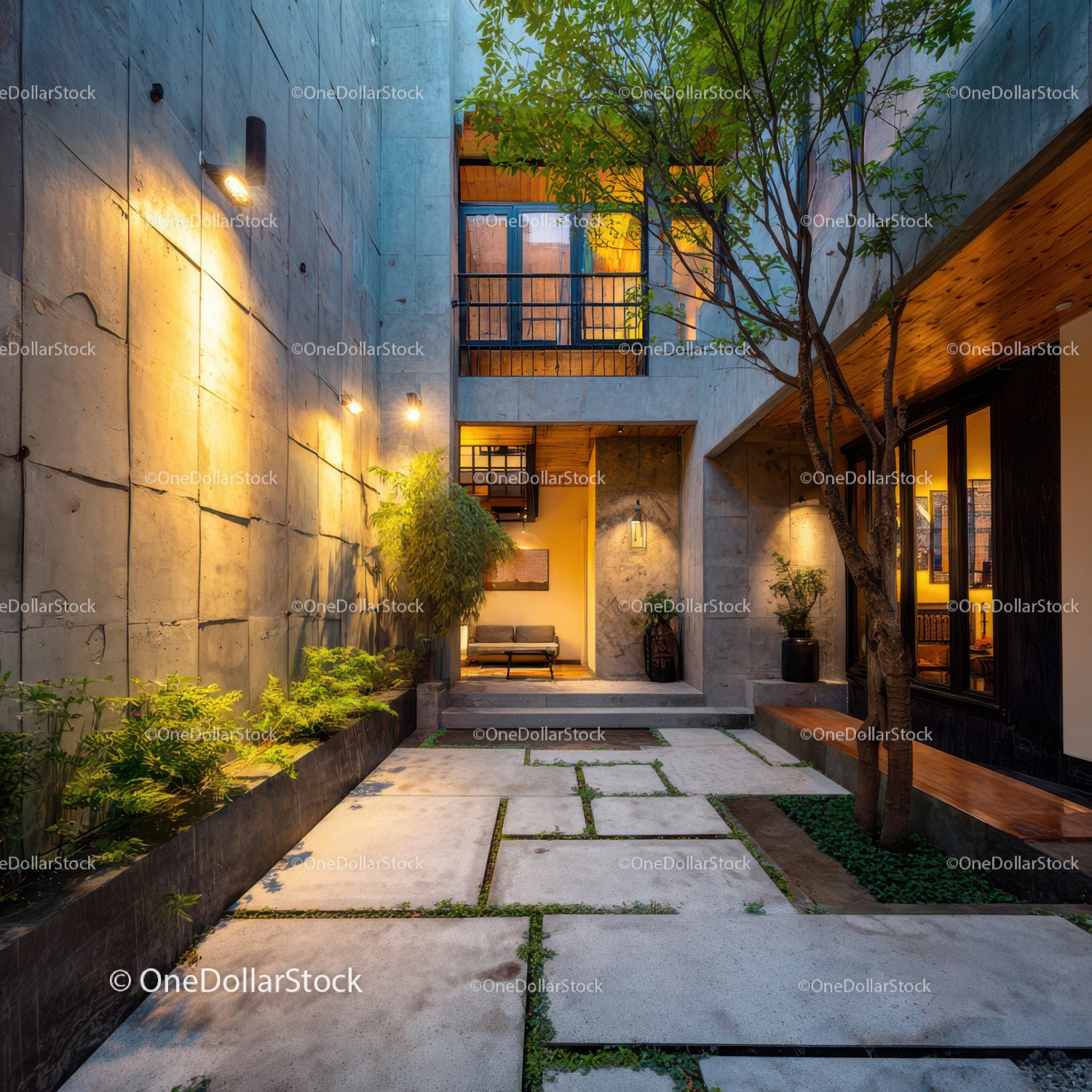 Modern Urban Home Courtyard with Greenery and Night Lighting
