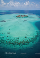 Tropical Overwater Bungalows Surrounded by Clear Blue Ocean