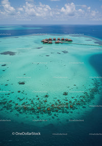 Tropical Overwater Bungalows Surrounded by Clear Blue Ocean