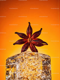 Star anise resting on translucent ice cube with orange background
