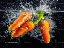 Fresh Orange Carrots Splashing in Water Over Black Background