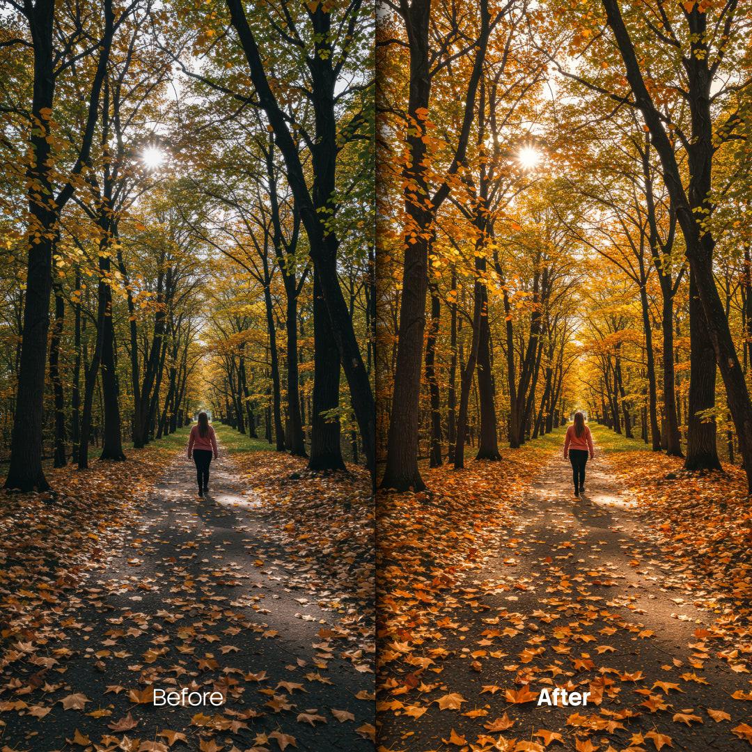 Vibrant Fall Leaf Tones XMP presets color grading preview