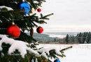 Snowy pine branches decorated with colorful Christmas baubles