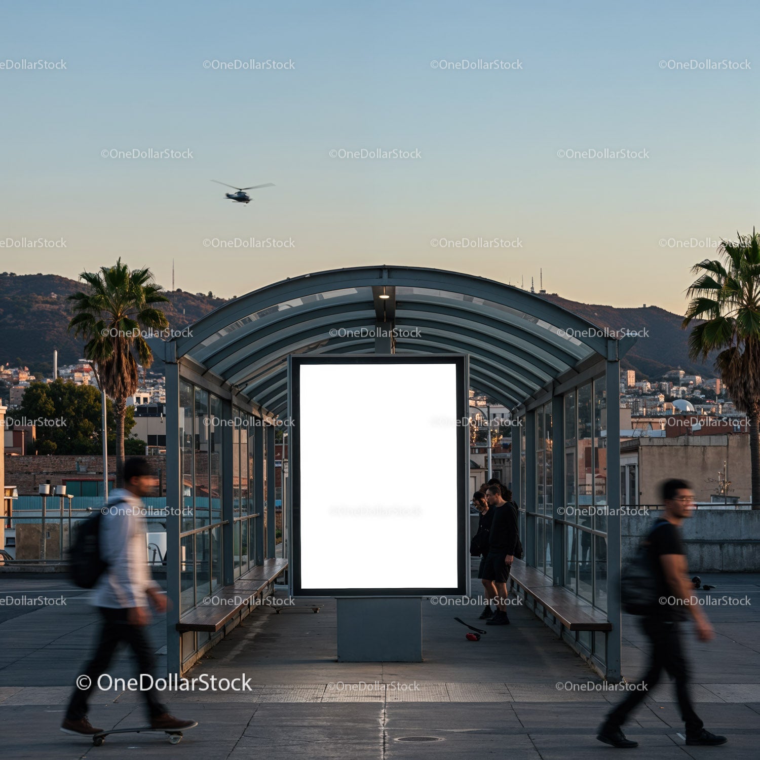 Urban bus stop shelter with blank advertisement display