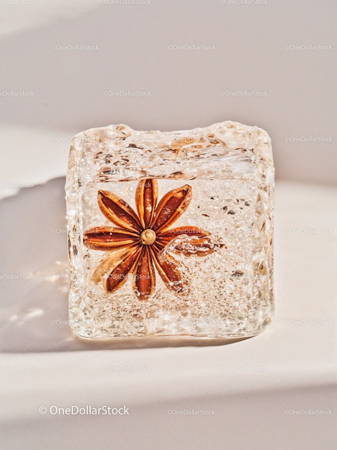 Star anise embedded in a clear ice cube on white surface
