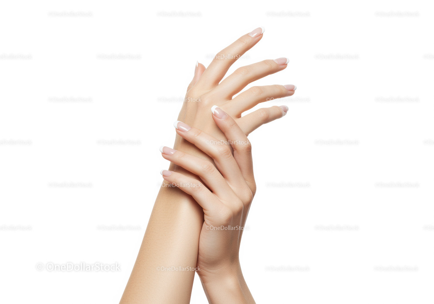 Eleganckie dłonie z eleganckim francuskim manicure na białym tle