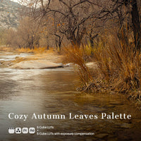 Cozy Autumn Leaves Palette LUT Pack preview