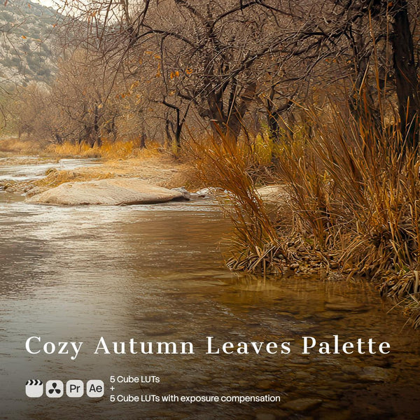 Cozy Autumn Leaves Palette (10 LUTs)
