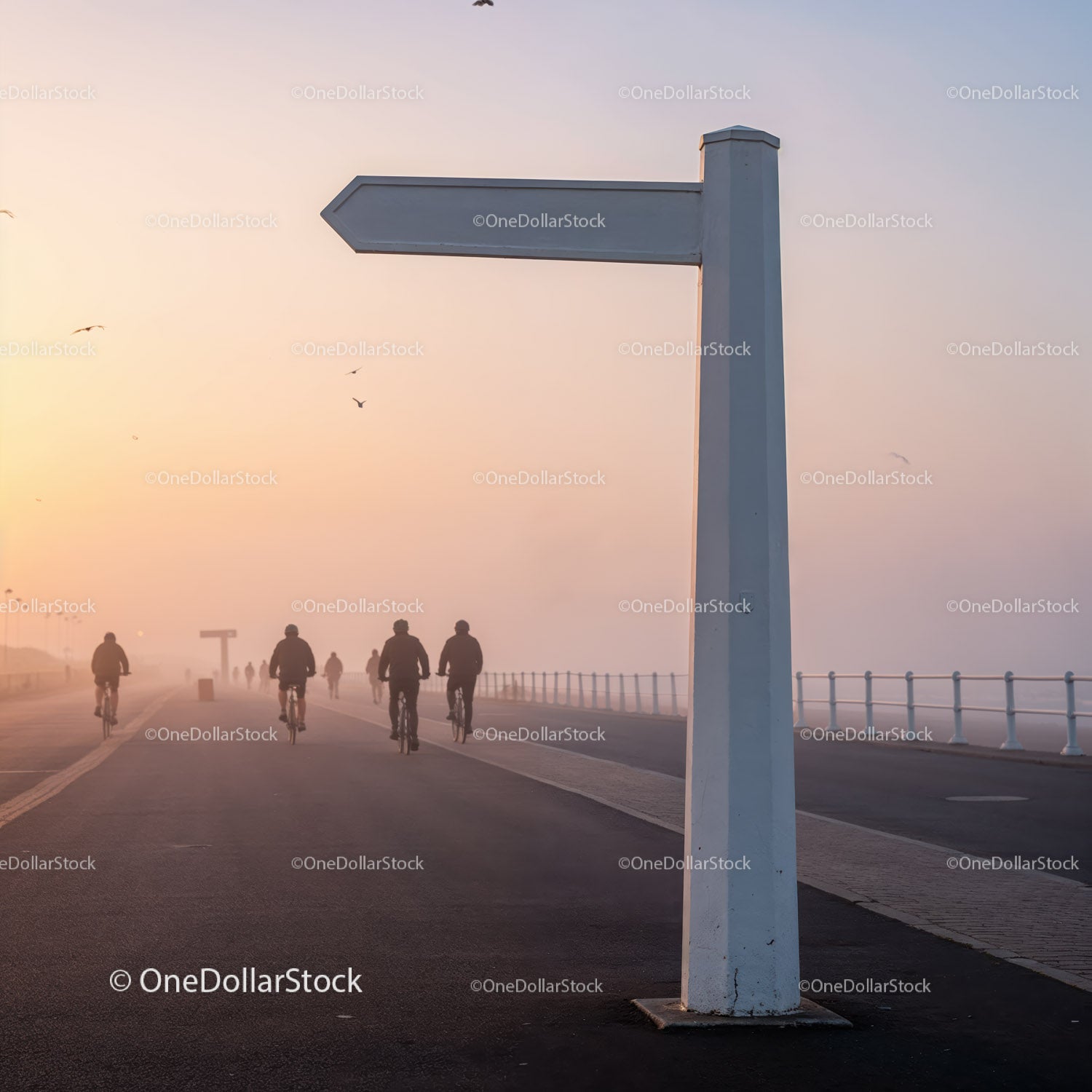 Cyclists riding along promenade in soft morning fog