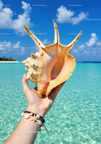 Large Seashell Being Held Against Clear Turquoise Ocean and Blue Sky