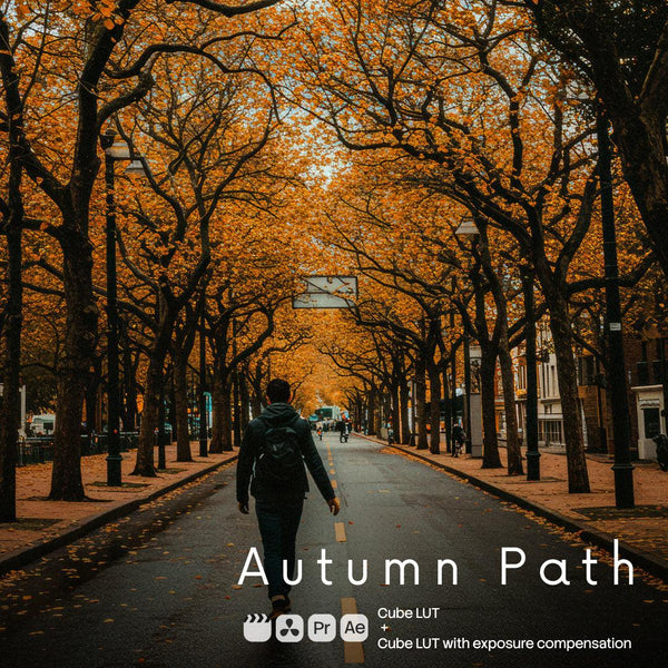 Autumn Path (2 LUTs)
