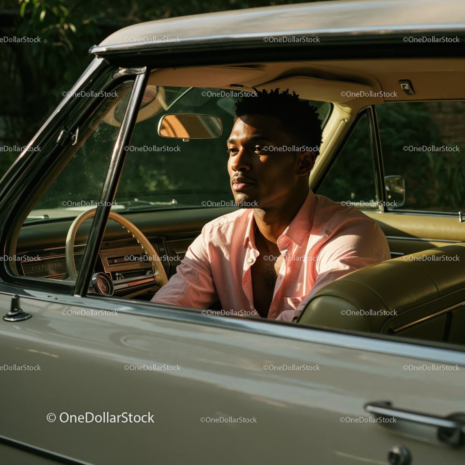 Young Man in Pink Shirt Sitting in Vintage Car on a Sunny Day